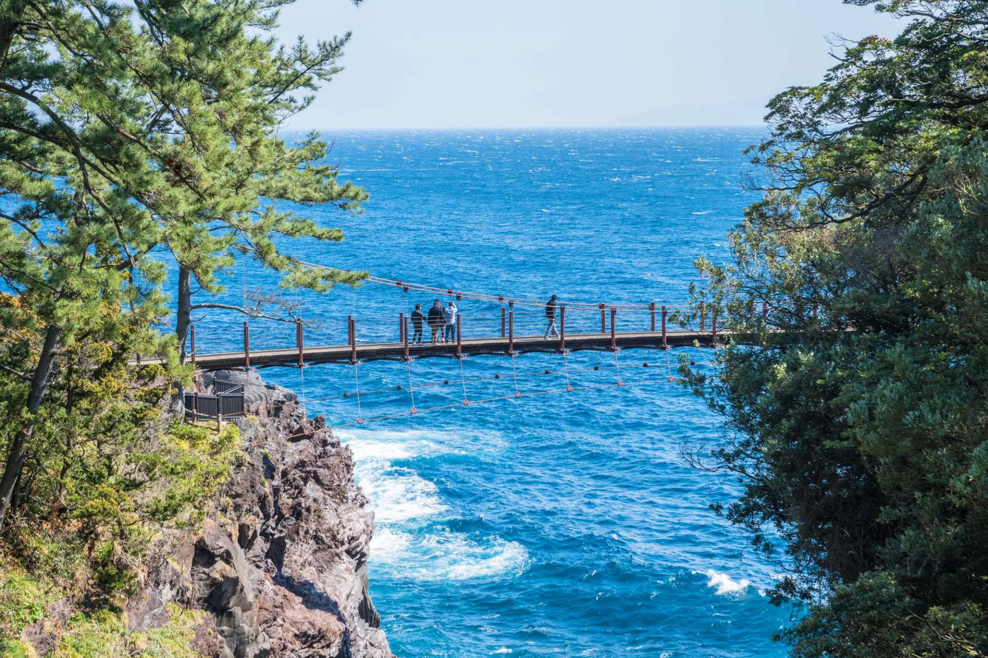 伊豆山と海を巡る日帰りツアー