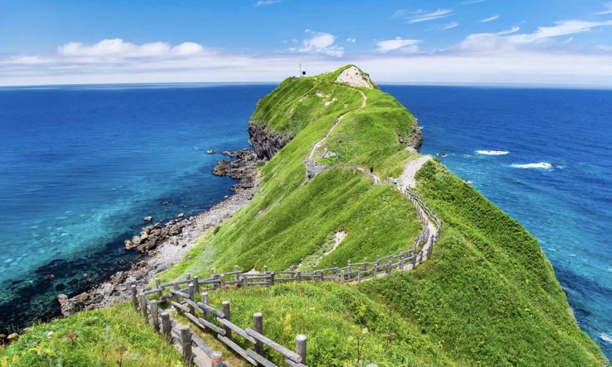 北海道海岸物語　小樽と積丹ブルーを巡る絶景日帰り旅